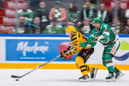 Skellefteås Pär Lindholm och Rögles Linus Sandin