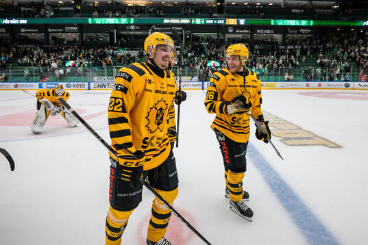 Skellefteås Jonathan Johnson och Rickard Hugg jublar
