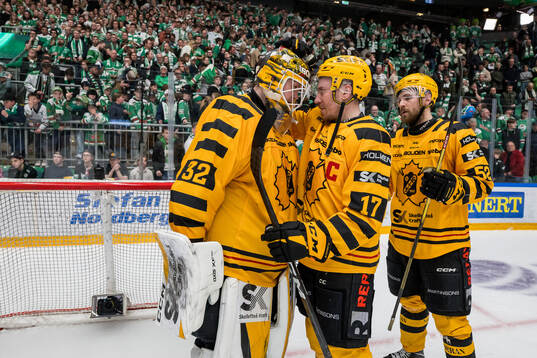 Skellefteås Linus Söderström och Pär Lindholm jublar