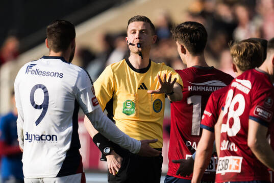 Domare Erik Mattsson
