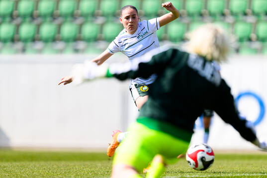 Och Hammarbys Vilde Hasund