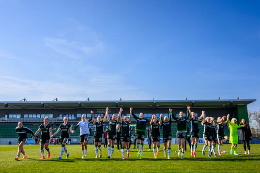 Hammarbys spelare jublar