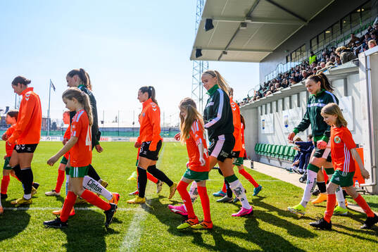 Hammarbys spelare