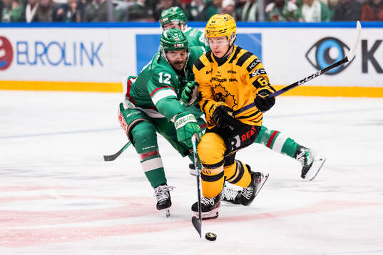 Rögles Brady Ferguson och Skellefteås Oskar Vuollet