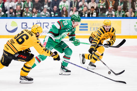 Rögles Anton Bengtsson och Skellefteås Jonathan Johnson