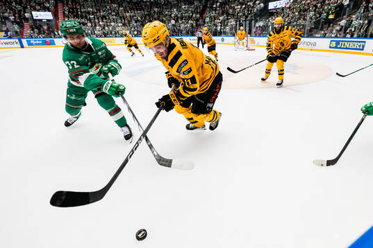Rögles Daniel Zaar och Skellefteås Max Lindholm