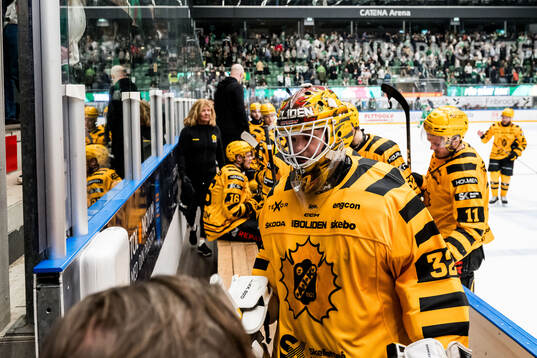 Skellefteås målvakt Linus Söderström deppar