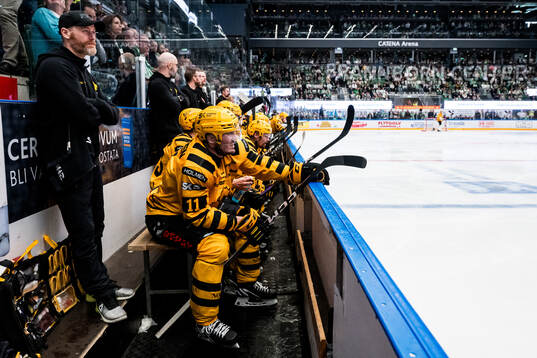 Skellefteås Max Lindholm deppar