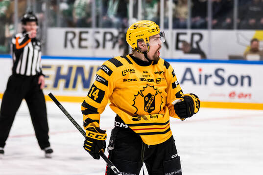 Skellefteås Andreas Johnson jublar
