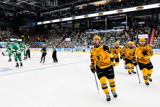 Skellefteås Andreas Johnson jublar