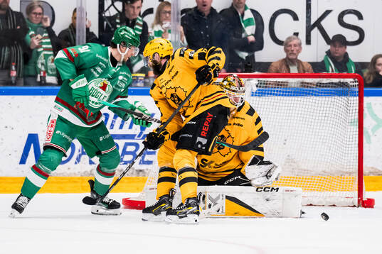 Rögles Adam Tambellini och Skellefteås målvakt Linus