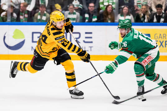 Skellefteås Elias Salomonsson och Rögles Valtteri Viljanen