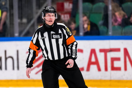 Domare Mikael Holm