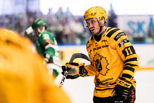 Skellefteås Max Lindholm deppar