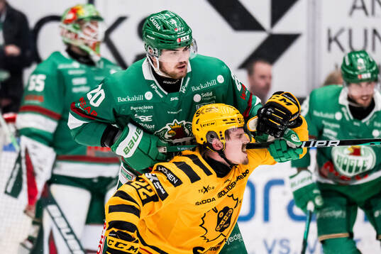 Rögles Lian Bichsel och Skellefteås Jonathan Johnson