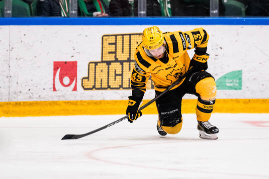 Skellefteås Zeb Forsfjäll