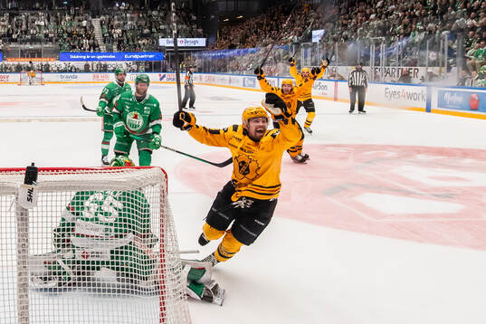 Skellefteås Andreas Johnson jublar