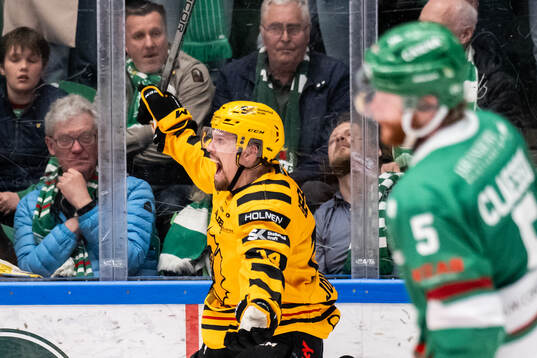 Skellefteås Andreas Johnson jublar