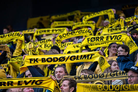 Spectators in the stands