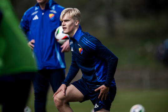 Lucas Bergvall
