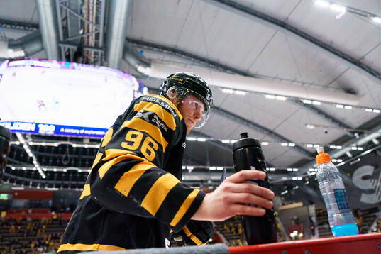 Skellefteås Rickard Hugg