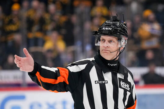 Domare Mikael Nord