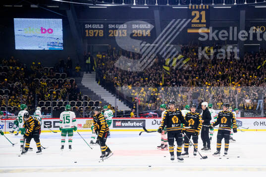 Skellefteås spelare