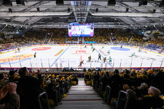 Vy över arenan