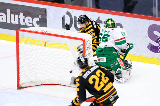 Skellefteås Andreas Johnson och Rögles målvakt