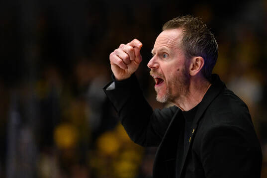 Skellefteås tränare Robert Ohlsson reagerar