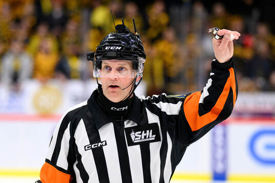 Domare Mikael Nord