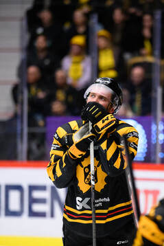 Skellefteås Max Lindholm deppar
