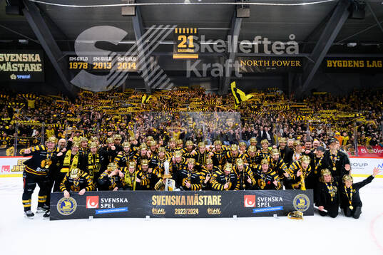 Skellefteås spelare jublar