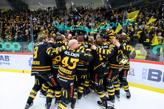 Skellefteås spelare