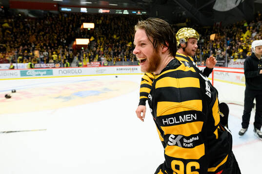 Skellefteås Rickard Hugg