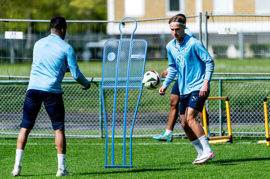 Malmö FFs Erik Botheim