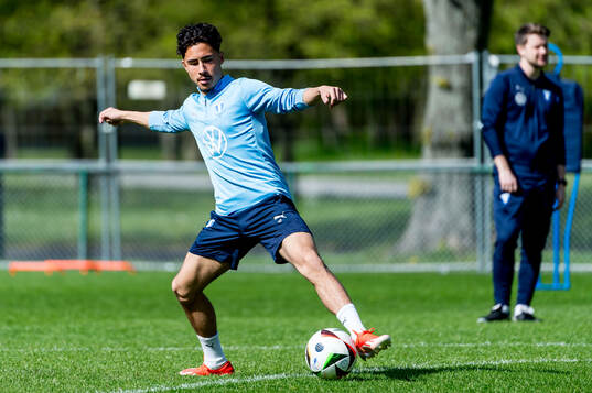 Malmö FFs Adrian Skogmar
