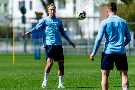 Malmö FFs Erik Botheim