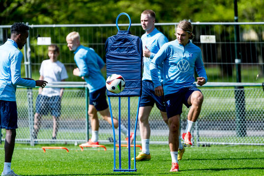 Malmö FFs Sebastian Nanasi