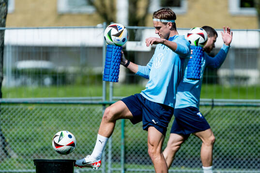 Malmö FFs Erik Botheim