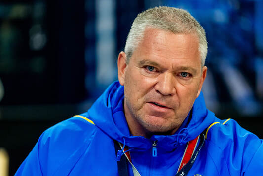 Martin Fredman, säkerhetschef, Svenska fotbollsförbundet