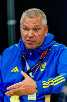 Martin Fredman, säkerhetschef, Svenska fotbollsförbundet