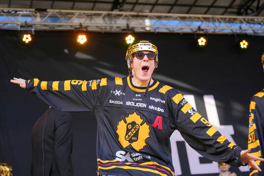 Skellefteås Rickard Hugg