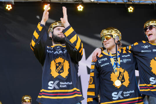 Skellefteås Martins Dzierkals