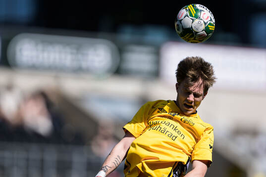 Elfsborgs Theo Eliasson