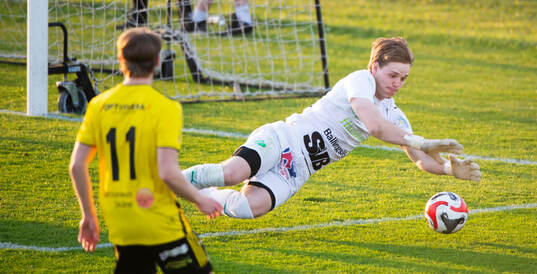 Liam Bengtsson, målvakt, Hässleholms IF i matchen i div.