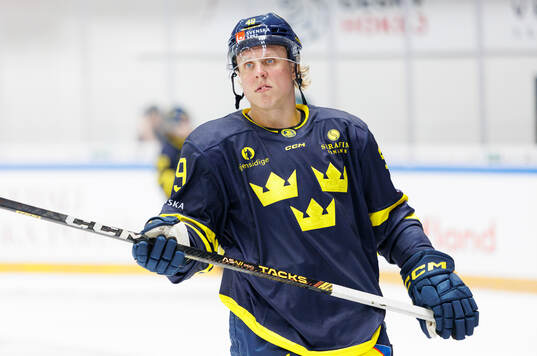 Fabian Zetterlund of Sweden