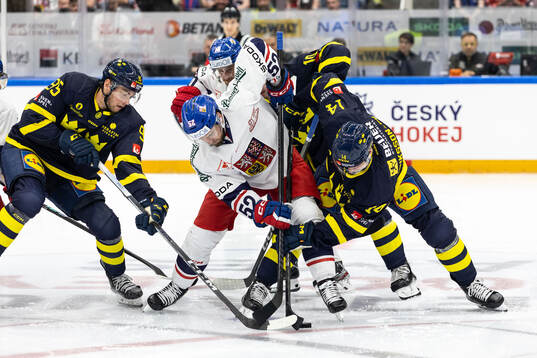 Michael Spacek of Czech Republic and Joel Eriksson Ek of