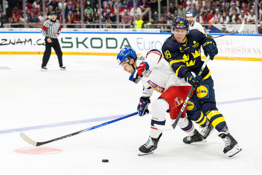 Radan Lenc of Czech Republic and Fabian Zetterlund of Sweden