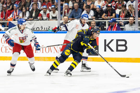 David Tomasek and Jakub Vrana of Czech Republic against